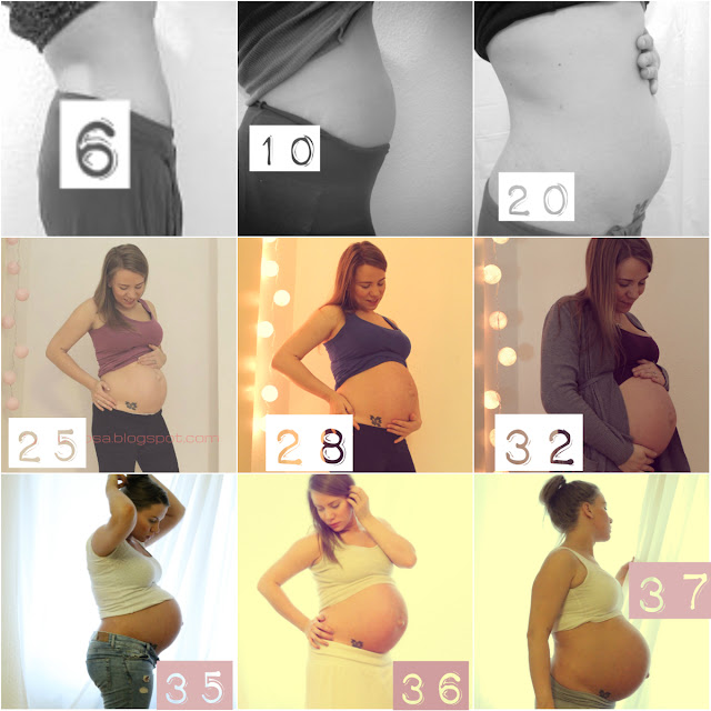 gravid mage utvikling