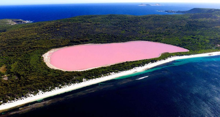 retba pink lake