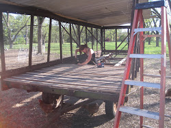 cotton trailer chicken coop 1