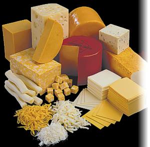 مصادر الأغذية - أنواع عديدة من الجبن