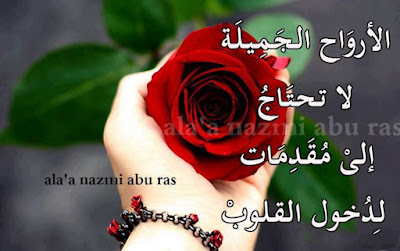 shof_ae1cef3782a0f6f
