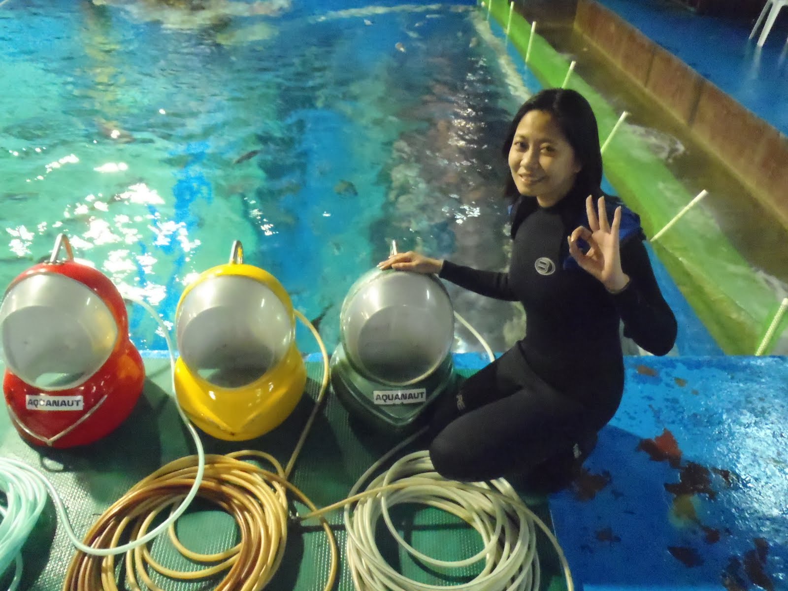 iaadamlim Diving at Manila Ocean Park via Aquanaut Voyage A Review
