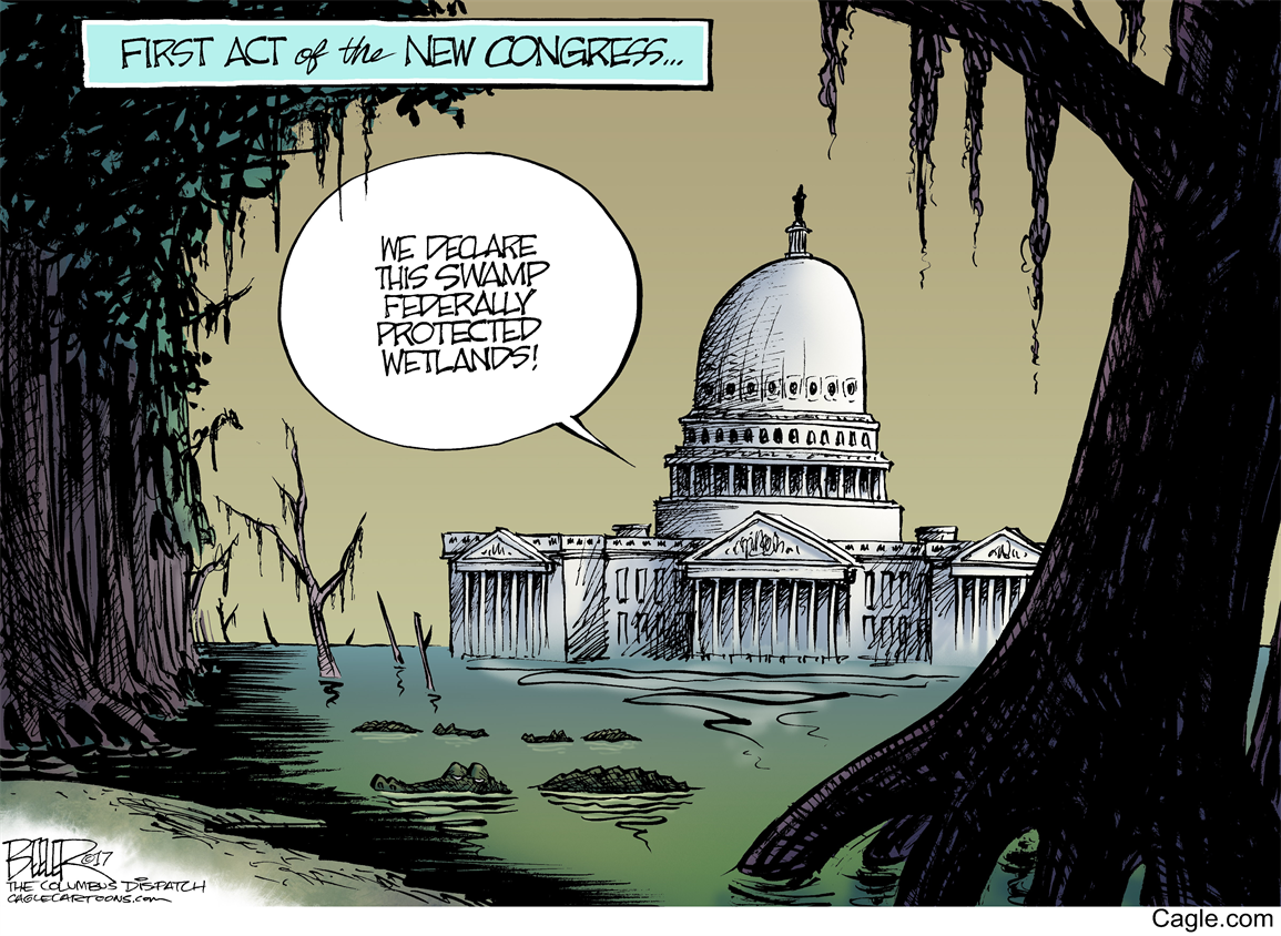 Presumptuous Politics Draining the Swamp Cartoons