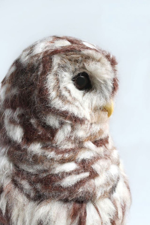 My Owl Barn New Work of Yvonne Herbst