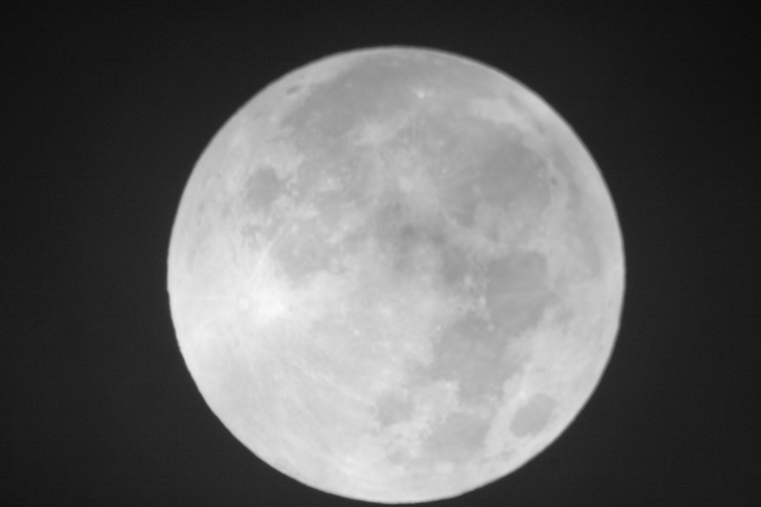 белая луна. луна в космосе. Luna white glossy 60x60 itc. луна в белом цвете. луна фон.