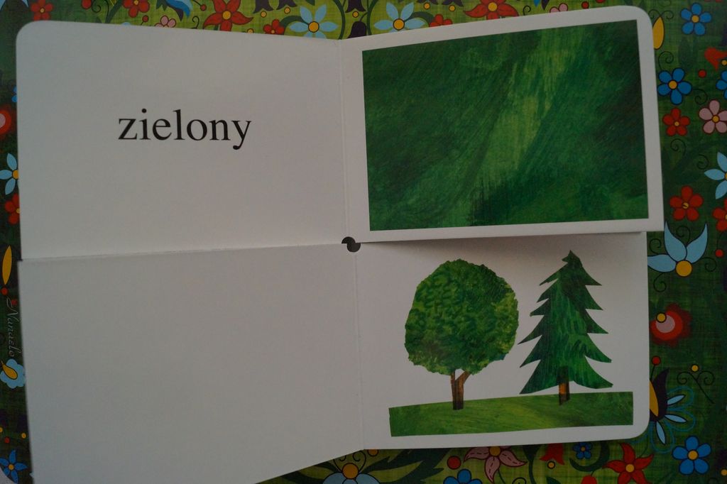 Montessori Moja Pierwsza Książka O Kolorach Makulka : Moja pierwsza książka o kolorach