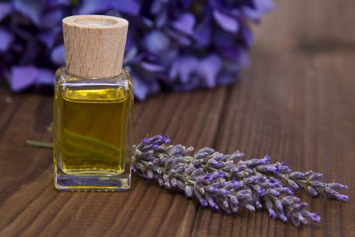utilisations de la lavande en cosmétique et en médecine utilisations de la lavande en cosmétique et en médecine