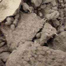 Asbestos In Plaster
