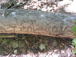 I Love You log photo by HiDee Ekstrom