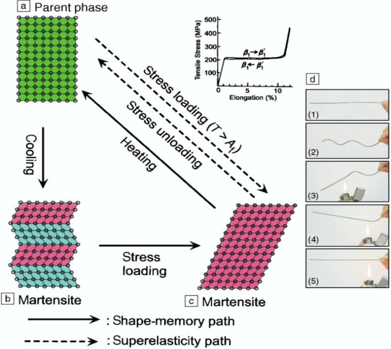 Development of shape memory alloy based novel actuator for robotic