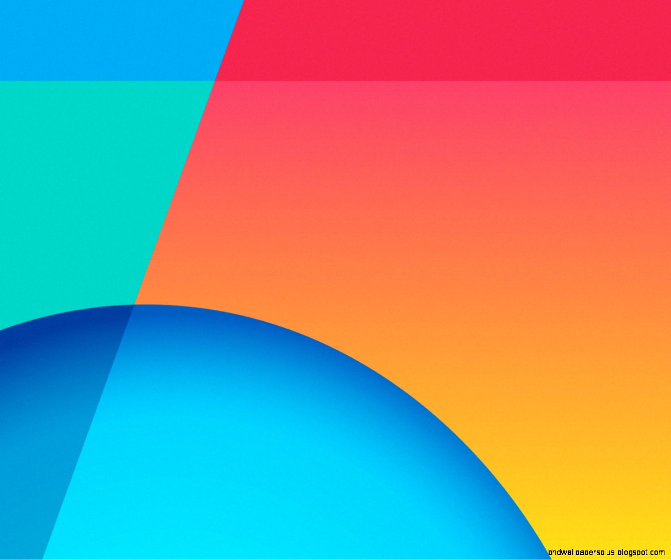 Animal Alone Nexus 5 Wallpapers  Free Nexus Wallpapers