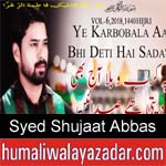 https://www.humaliwalyazadar.com/2018/09/syed-shujaat-abbas-nohay-2019.html