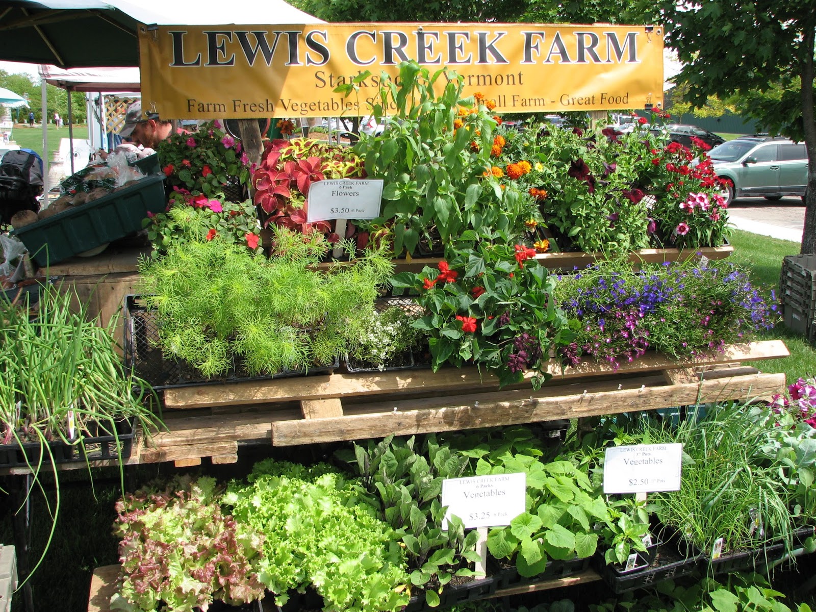 South Burlington, VT Farmers Market South Burlington, Vermont Photos
