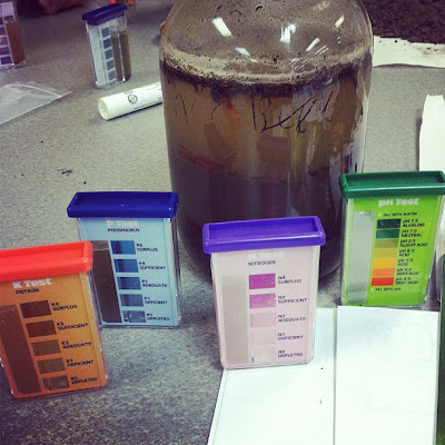 soils