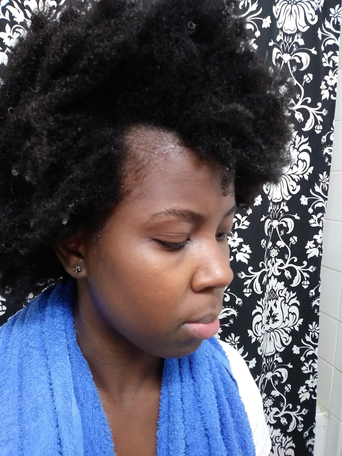 The4cproject My Healthy Natural Hair Journey November 2017
