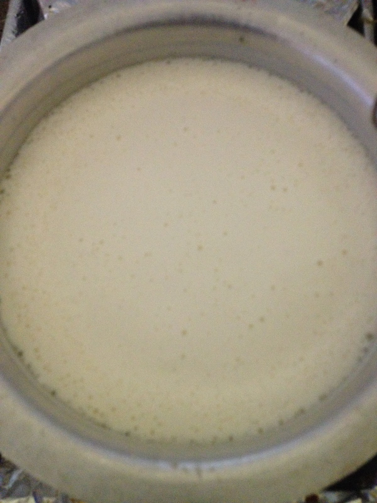 Mauritian and Fusion Cuisine Home made yoghurt