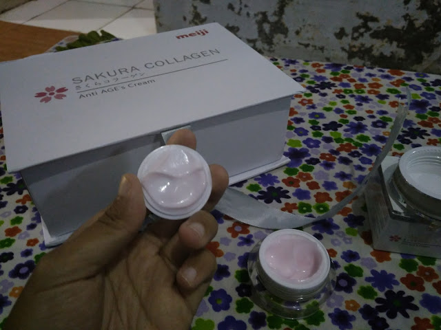 Krim pink Sakura Collagen PT Meiji