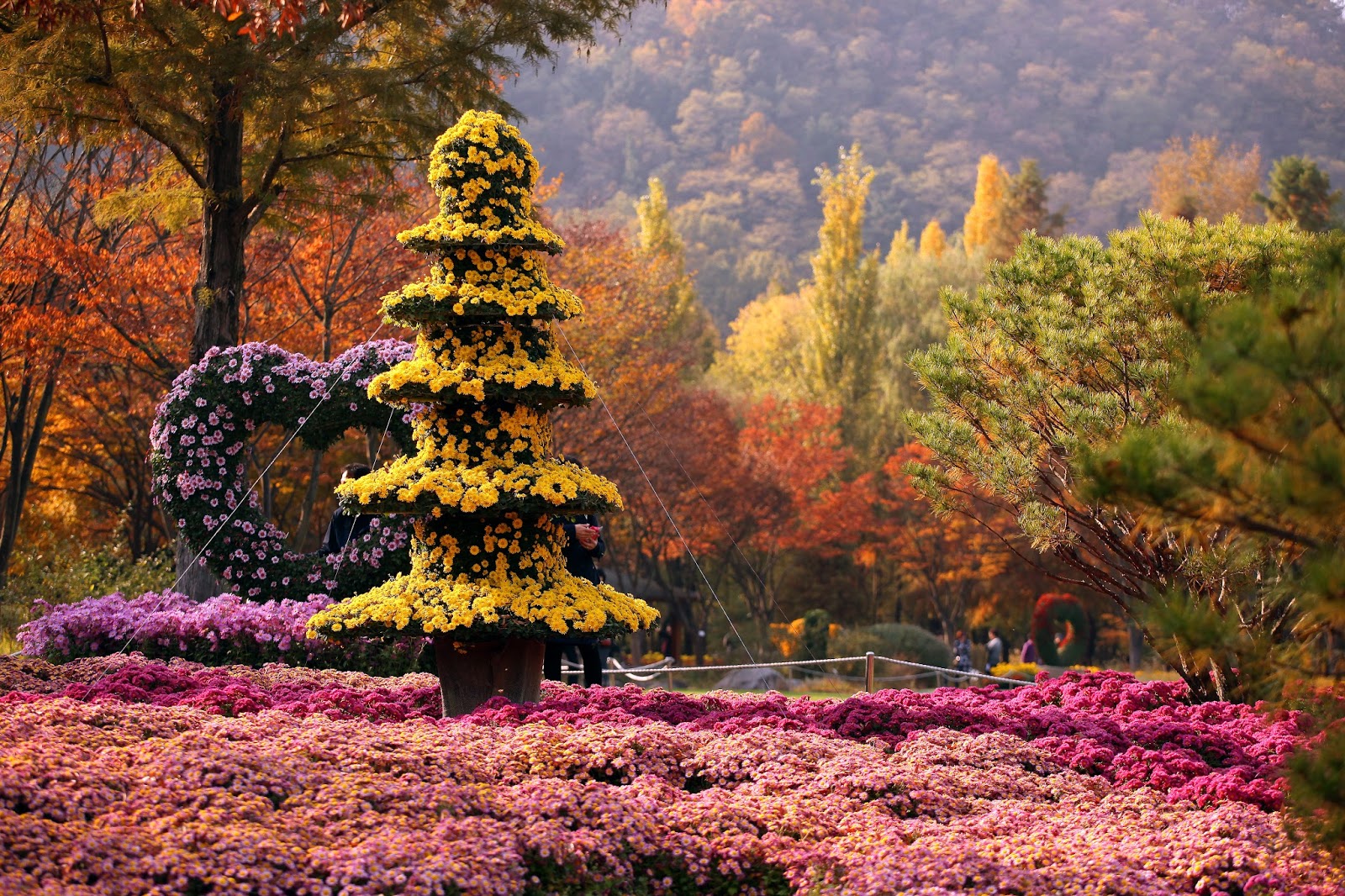 Beauty Of Autumn In South Korea Foliage Destination 