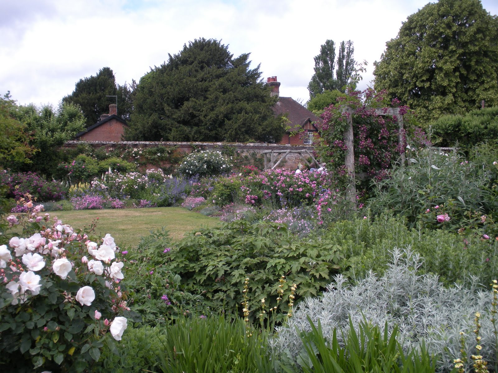 Victoria's backyard The rose gardens at Mottisfont Abbey