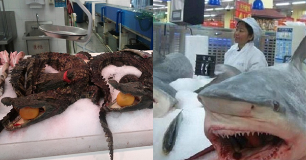 Walmarts Tiongkok, Mulai dari Kepala Babi Hingga Telur Aneka Unggas, Inilah Produk Unggulan di Sana! Walmarts Tiongkok, Mulai dari Kepala Babi Hingga Telur Aneka Unggas, Inilah Produk Unggulan di Sana!