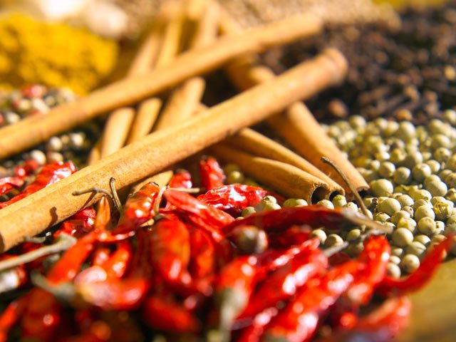 Busca da Essência - Laura Pires: Detox de Outono