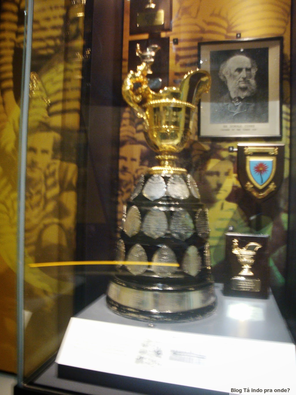 Trofee Springbuck Tá indo pra onde?: The Springbok Experience - Museu do Rugby (Cidade do ...