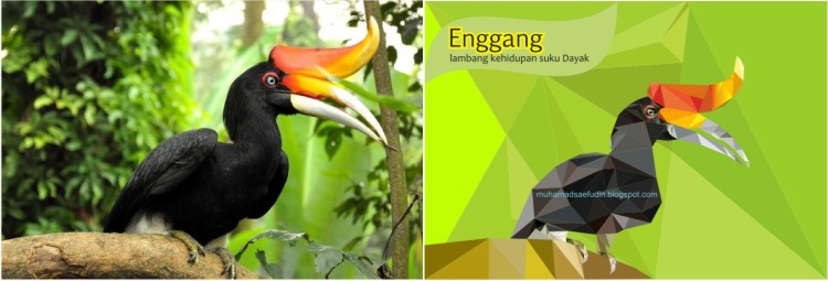 Triangulation Burung Enggang Muhamad Saefudin