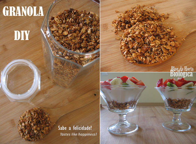 Basicamente, a granola é composta por ingredientes secos e liquidos. Aqui ficam alguns que podem