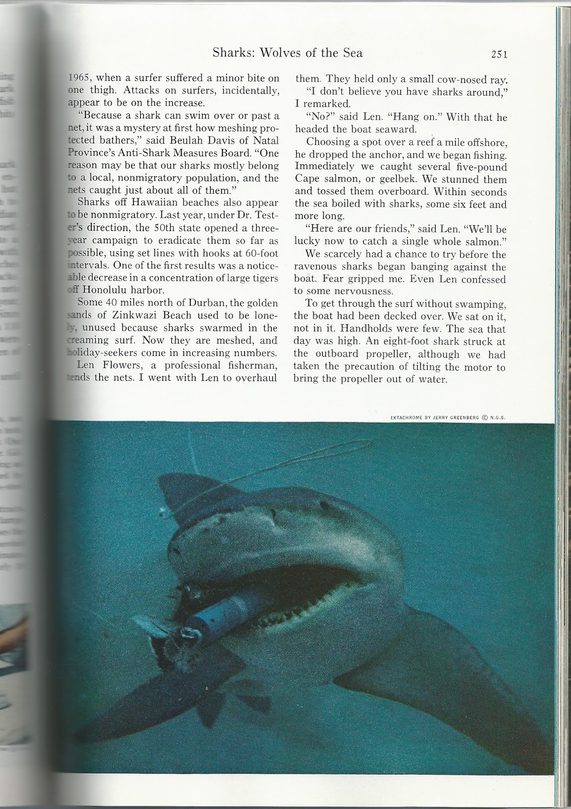 The Haunted Closet National Geographic, Vol. 133, No.2, February 1968