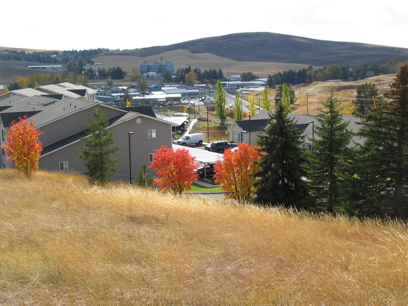 Creekside Properties Area Info/Gallery