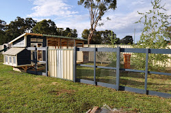 chicken coop success m101 building plans construction build