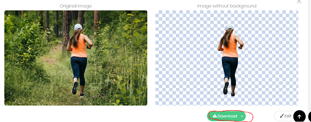 Kukko imee homo videoita