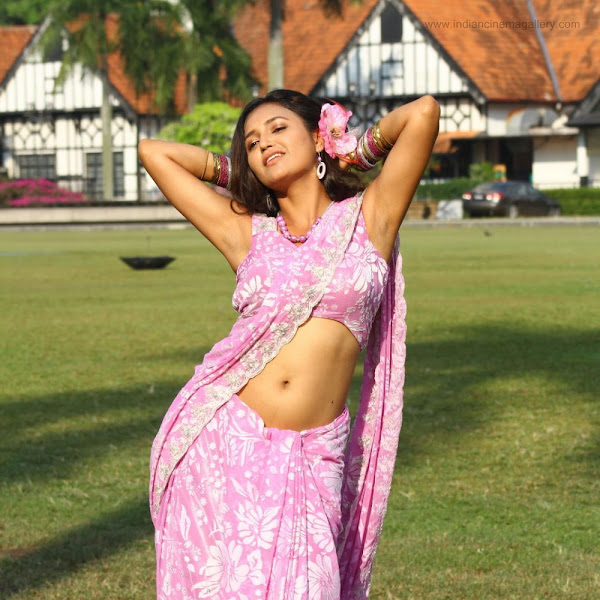 Telugu actress Sarayu latest hot navel show photos in saree from Enduko Nachav movie stills