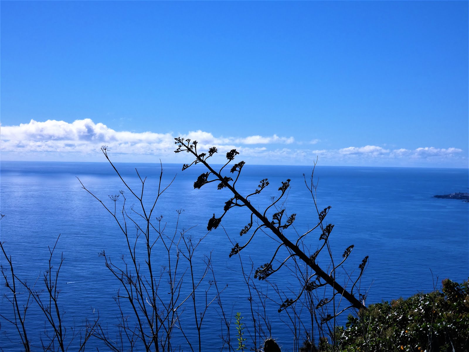 TENAGUA (PUNTALLANA).