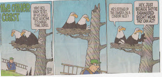 Eagle Information: Eagle Documents and Pictures