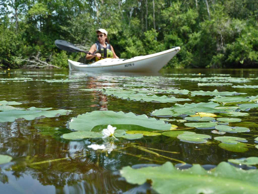 Kayaking the MobileTensaw River Delta 06/11/2011 Presley's Lake and
