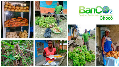 Gracias a Banco2 Chocó 70 familias de Pacurita inician procesos de emprendimiento en la región