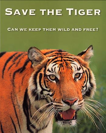 Save Tigers- Our National Pride
