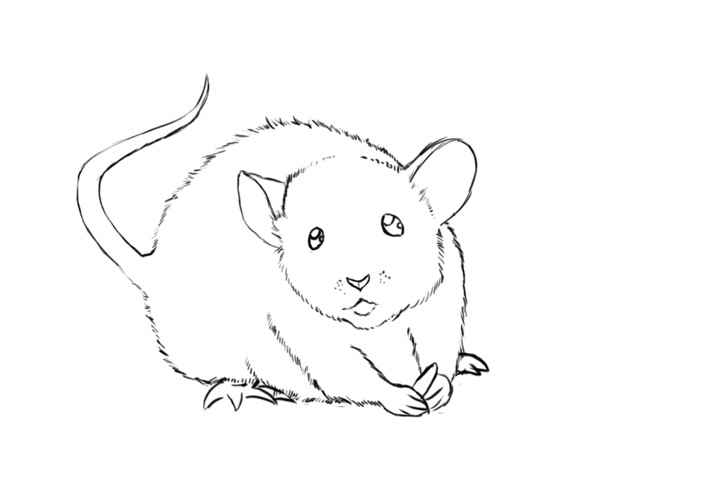 How To Draw A Mouse - Draw Central