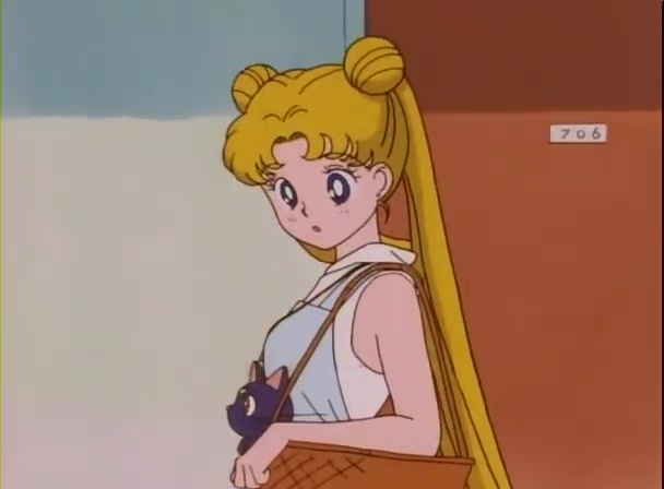 Ver Sailor Moon Sailor Moon - Capítulo 17