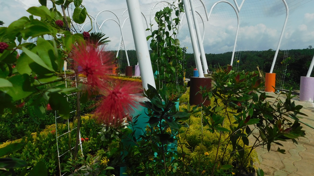 Tempat Wisata Terbaru di Semarang - Watu Gajah Park ...
