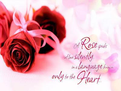 Lovely Red Rose Allfreshwallpaper