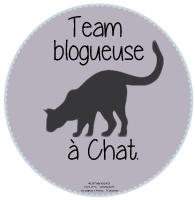 Team blogueuse à chat