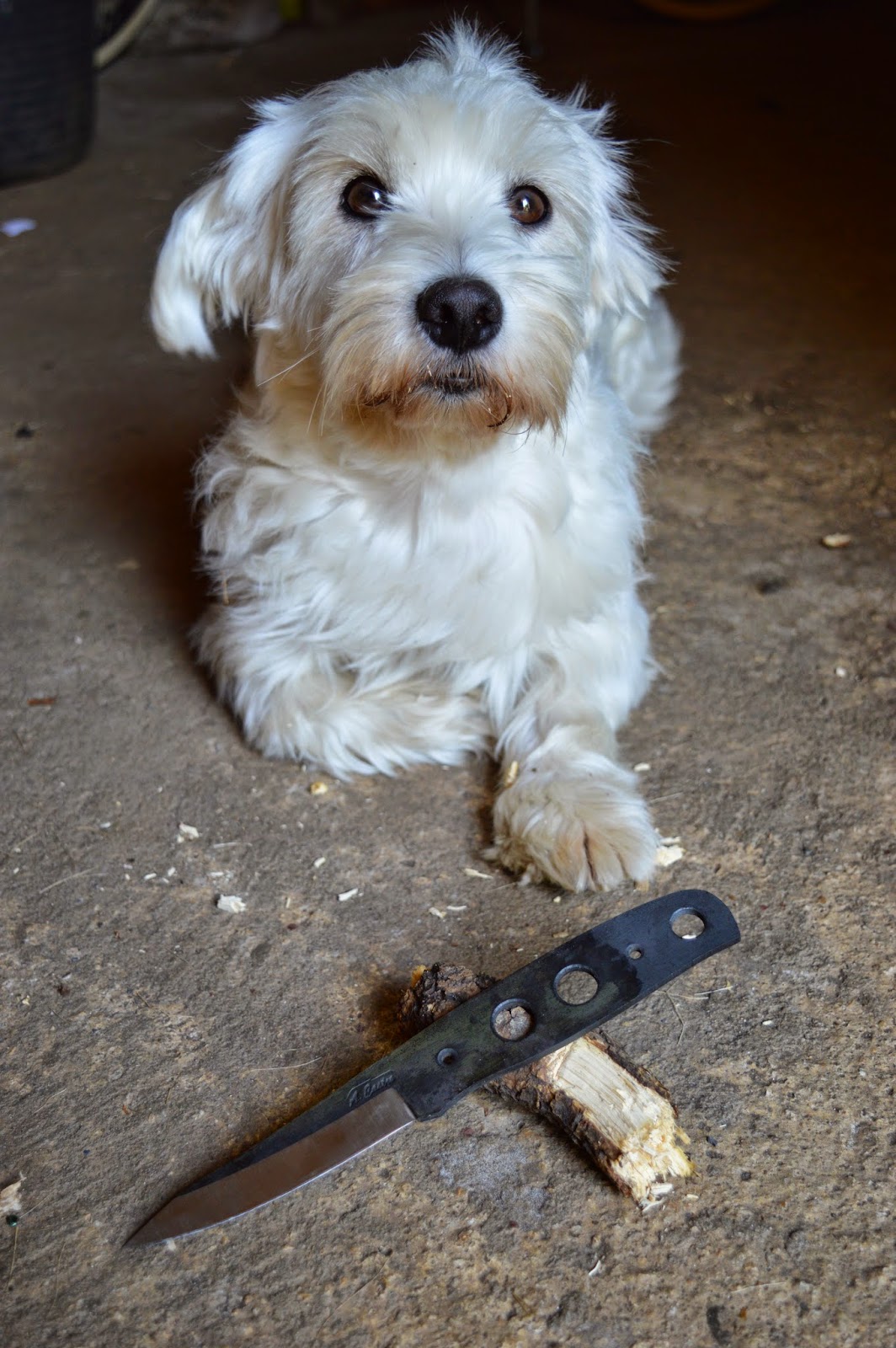 CUCHILLOS A.CASTRO DOG & KNIFE