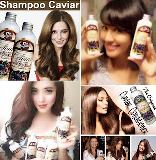 adakah efek sing sho kuda untuk rambut manusia adakah efek sing sho kuda untuk rambut manusia