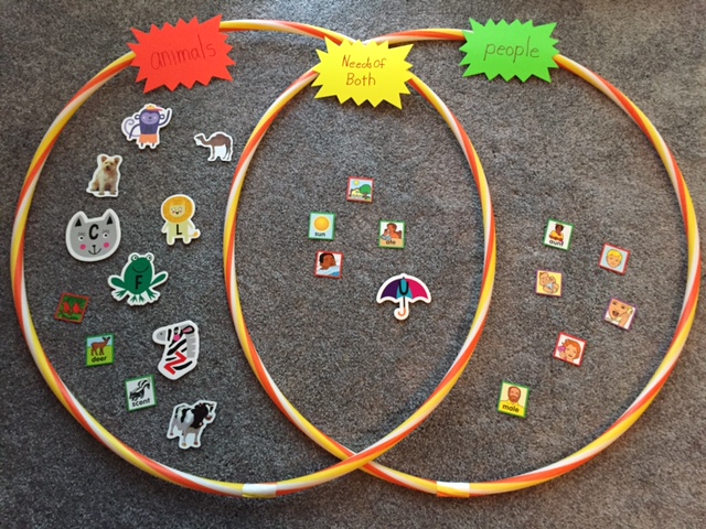 Reading2success: 4 activities using Hula Hoops as Venn Diagrams - So Fun!