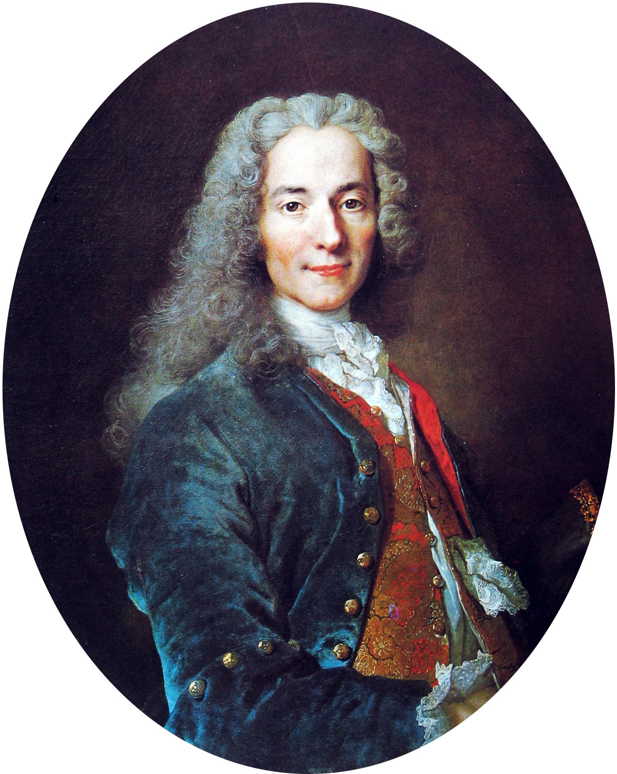 Voltaire famous arguments picture