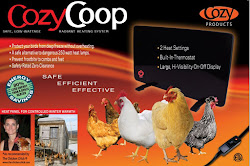 coop chicken cozy heater panel flat safe chick heat chickens radiant cl heating technology heaters homemade pet warm farm lamps