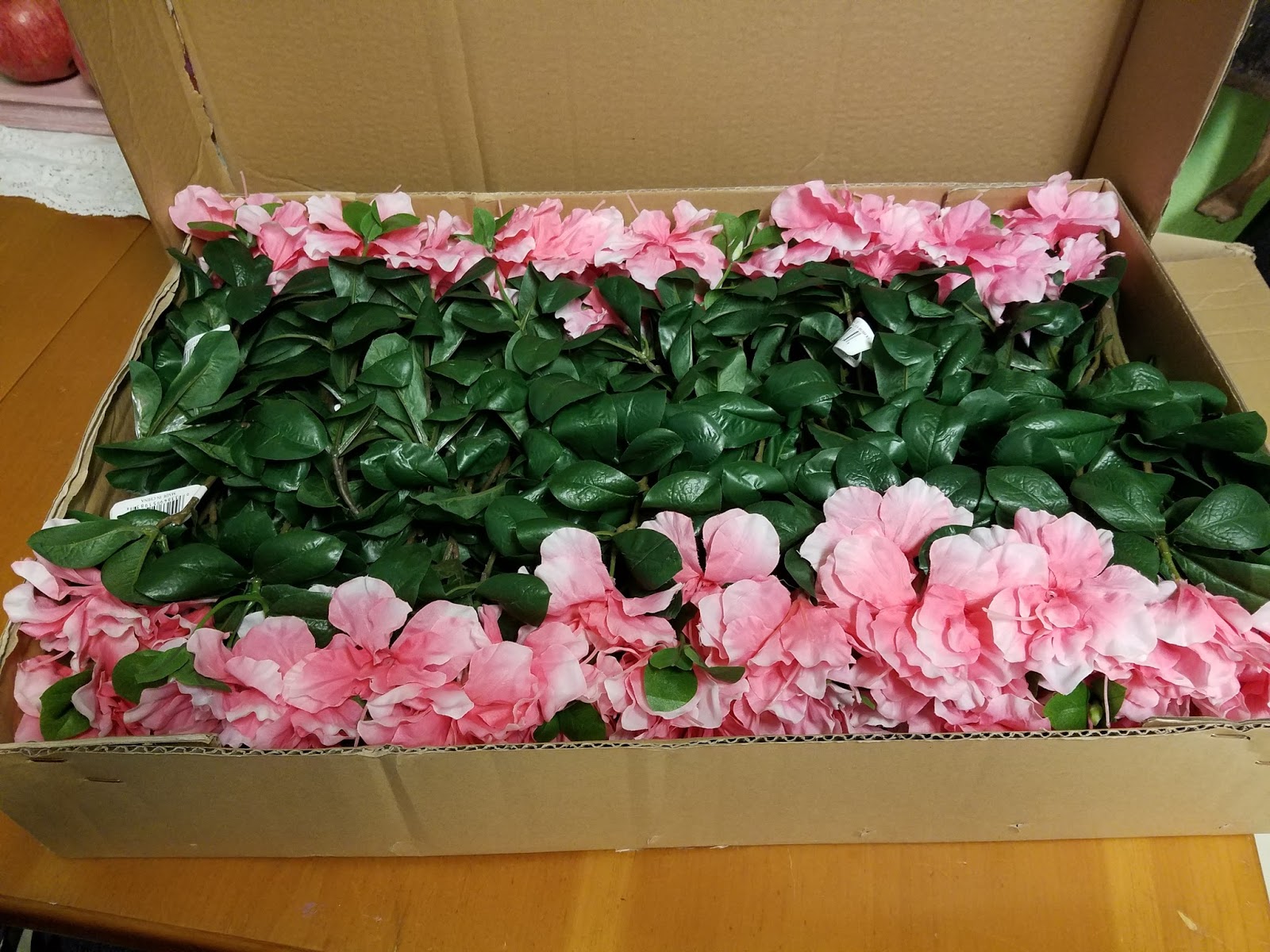 Dragonfly Treasure Silk Plants Direct Review