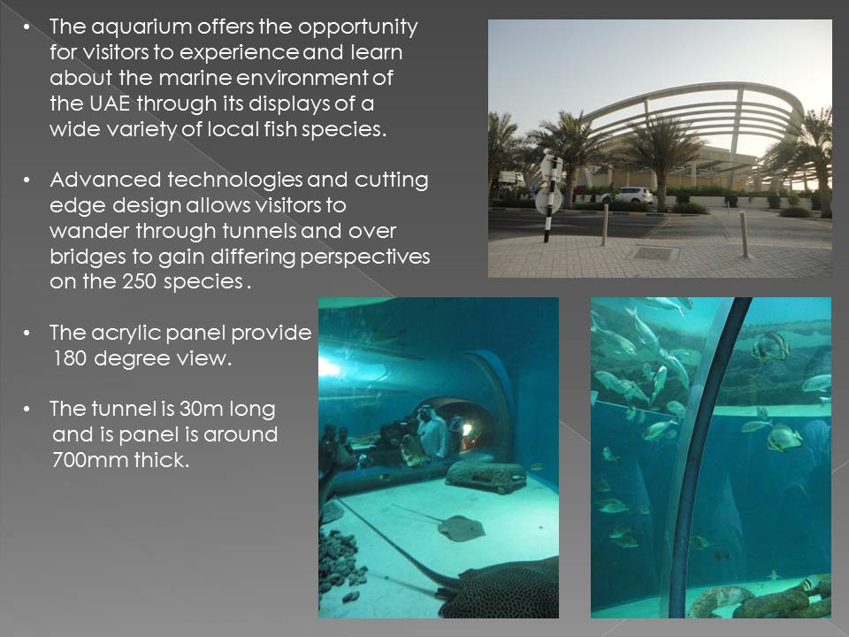 Oceanarium case study image